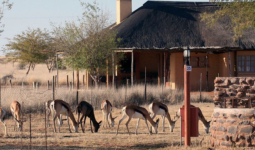 Welcome to Kalahari Monate Lodge in Upington, Northern Cape, South Africa
