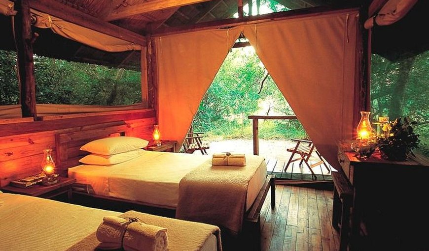 Twin Room - excluding levies: Kosi Forest Lodge