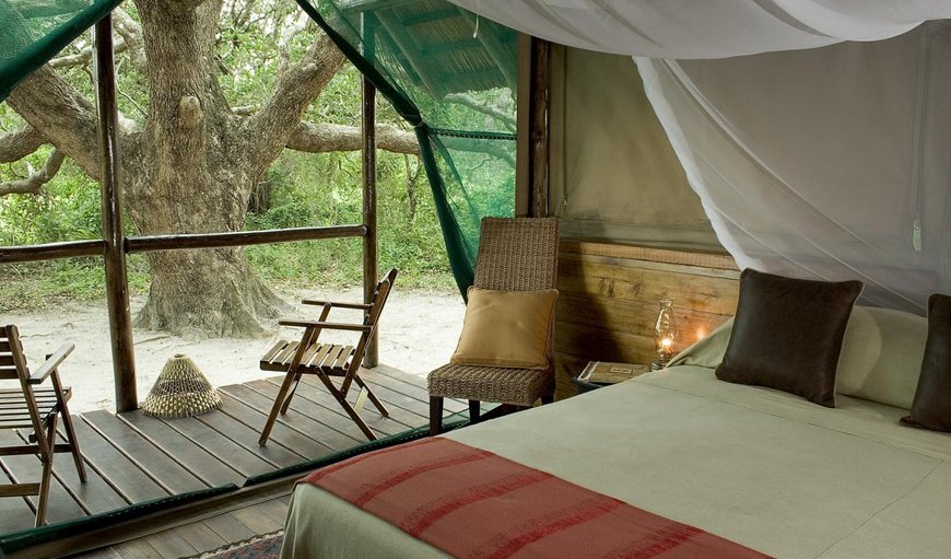 Double Room - excluding levies: Kosi Forest Lodge