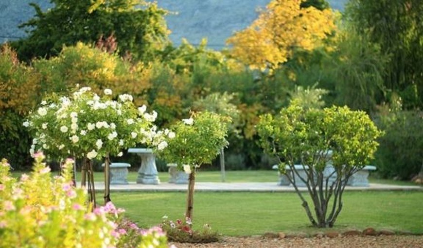 Garden in Ceres, Western Cape, South Africa