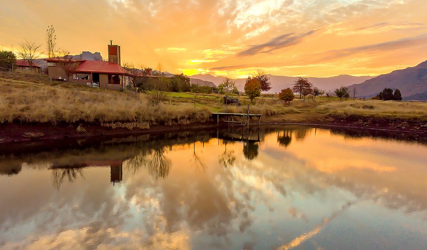 Hamstead Farm eco and pet-friendly Cottage in Underberg, KwaZulu-Natal, South Africa