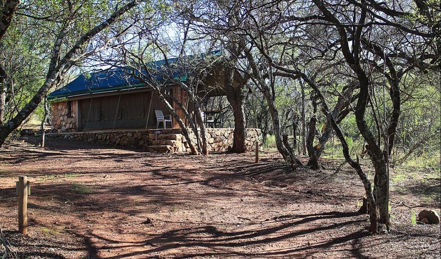 Thwane Main Camp: Thwane Main Bush Camp

