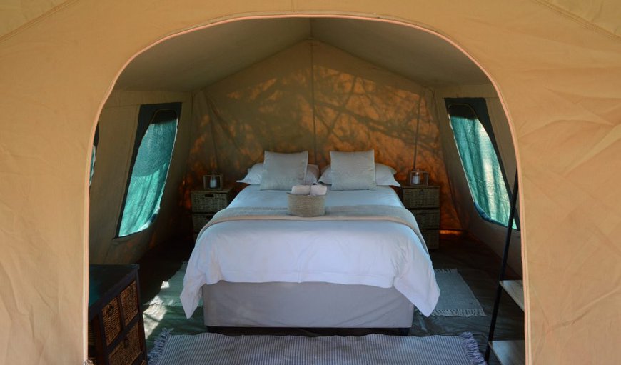 Ndovo: Ndovo - Tent with a double bed