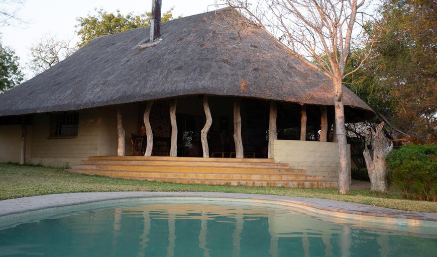 Welcome to Kwenga Safari Lodge in Hoedspruit, Limpopo, South Africa