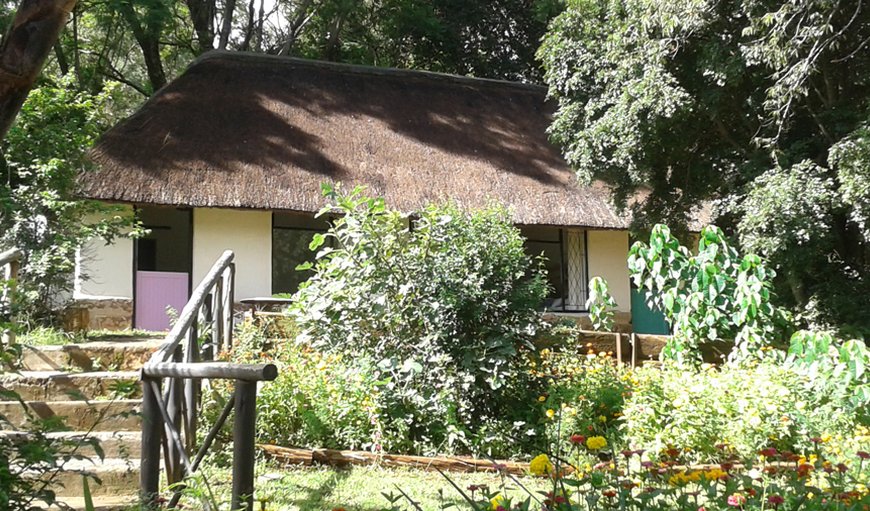 Standard Room: Standard Double Rooms