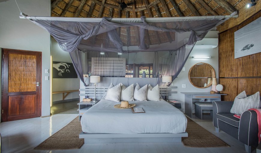 Double Ocean View Room - excludes levies: Thonga Beach Lodge