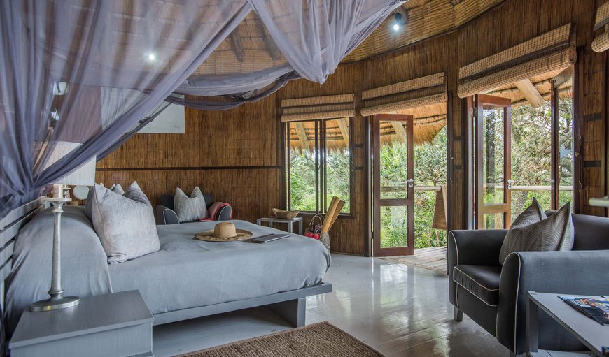 Family Forest Room - excludes levies: Thonga Beach Lodge