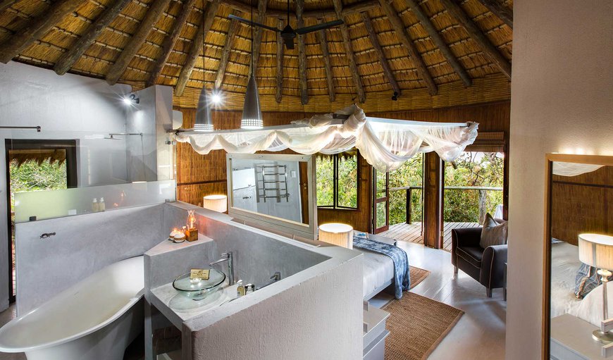 Deluxe Ocean View Room - excludes levies: Thonga Beach Lodge