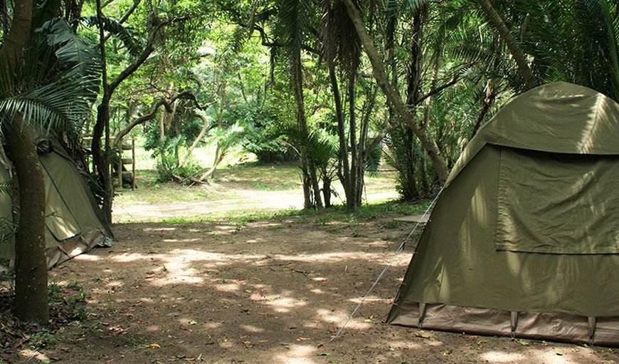 Campsite: Campsite - There are 5 campsites situated in a shady section on the banks of the iVungu River.