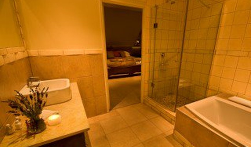 King Suite: Bathroom- Tallahasee