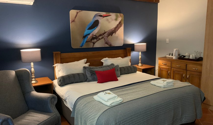 Kingfisher photo 39