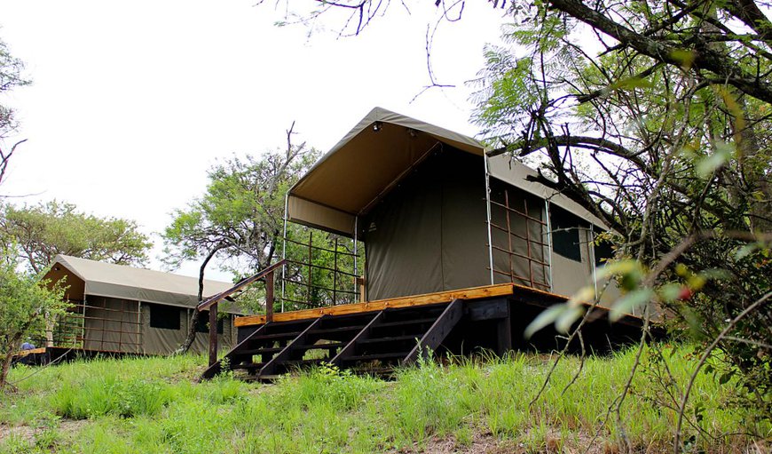 Self-catering Jumbo tent chalets With ensuite bathroom: De Lux Tents