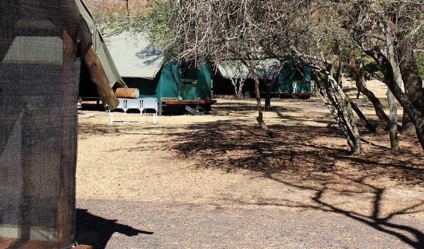 Tent or Caravan Stand: camp area