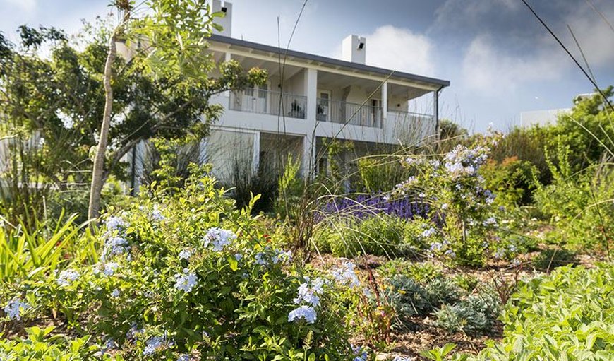 The Bed-sitter Apartments: Bedsitter Suites