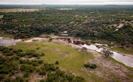 Savute Elephant Camp image