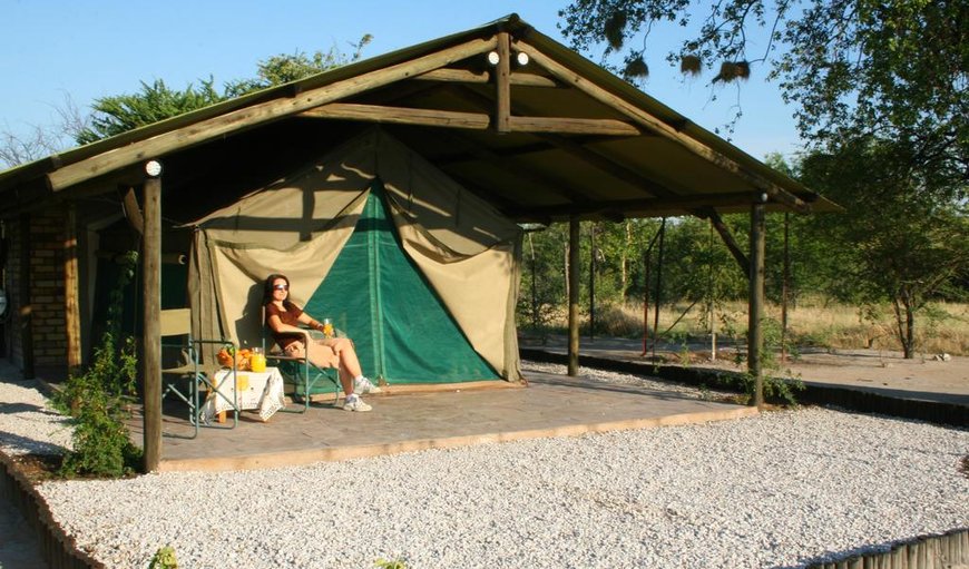 Safari Explorer: Safari Tent