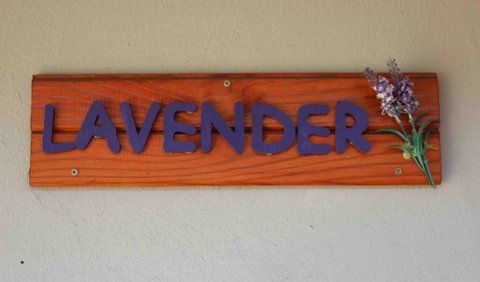 Lavender: Lavender Outside