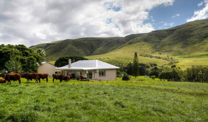 Farm House in Patensie, Eastern Cape, South Africa