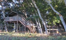 The Treehouse image