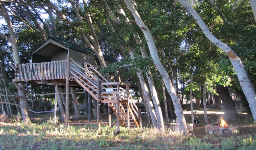 Welcome to The Treehouse in Carnarvon, Northern Cape, South Africa