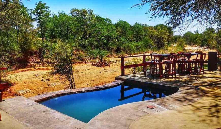 Welcome to Magwena River Lodge in Phalaborwa, Limpopo, South Africa