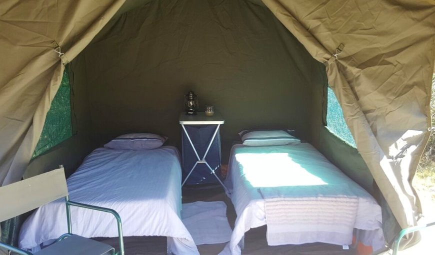 Tented Bush camp: Tented camp