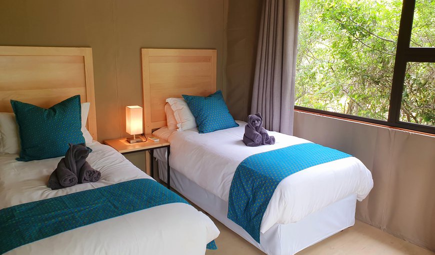 Luxury Tented Suite- Family: 2 x singles bed in bedroom 2