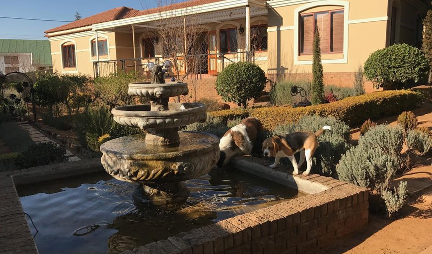 The Butterfly Villa in Clarens, Free State Province, South Africa