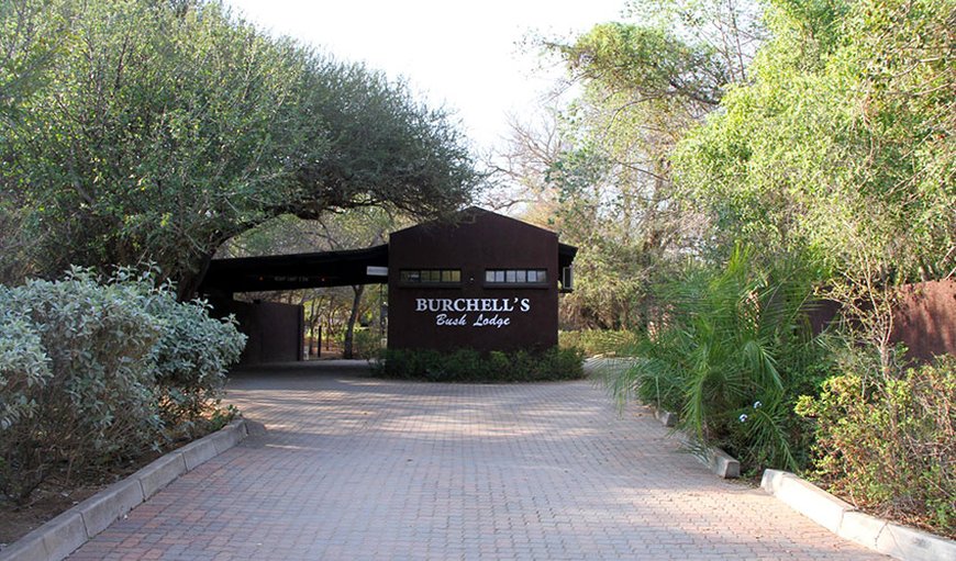 Welcome to Burchell’s Bush Lodge. in Sabi Sands Game Reserve, Mpumalanga, South Africa
