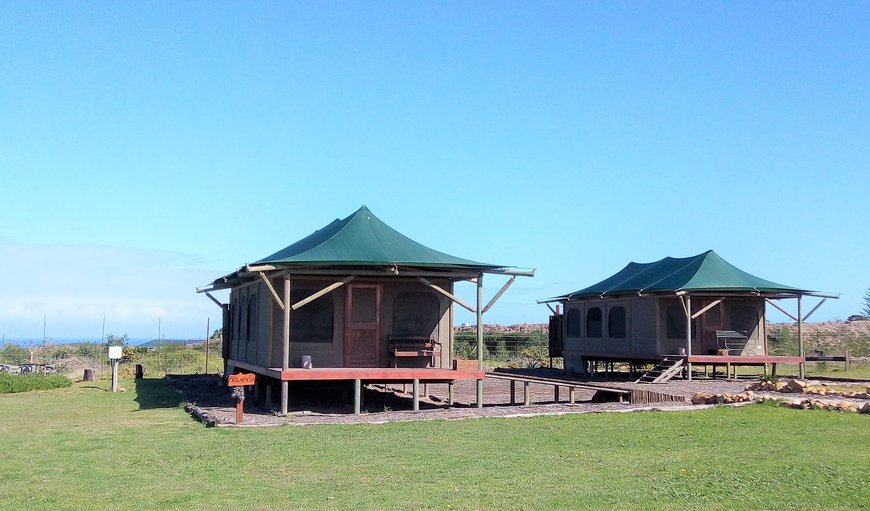 Hillcrest Lodge Farm in Plettenberg Bay, Western Cape, South Africa