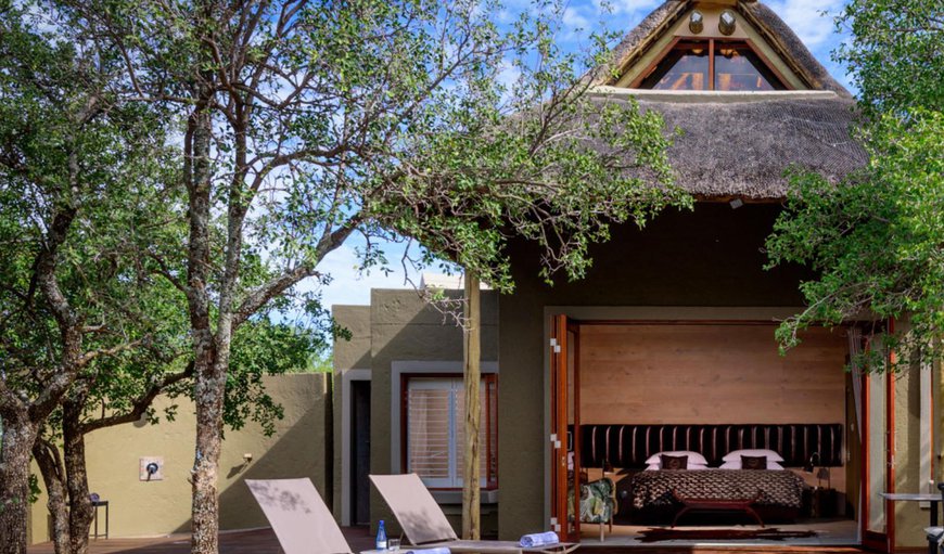Suite: Privaet Pool and Deck