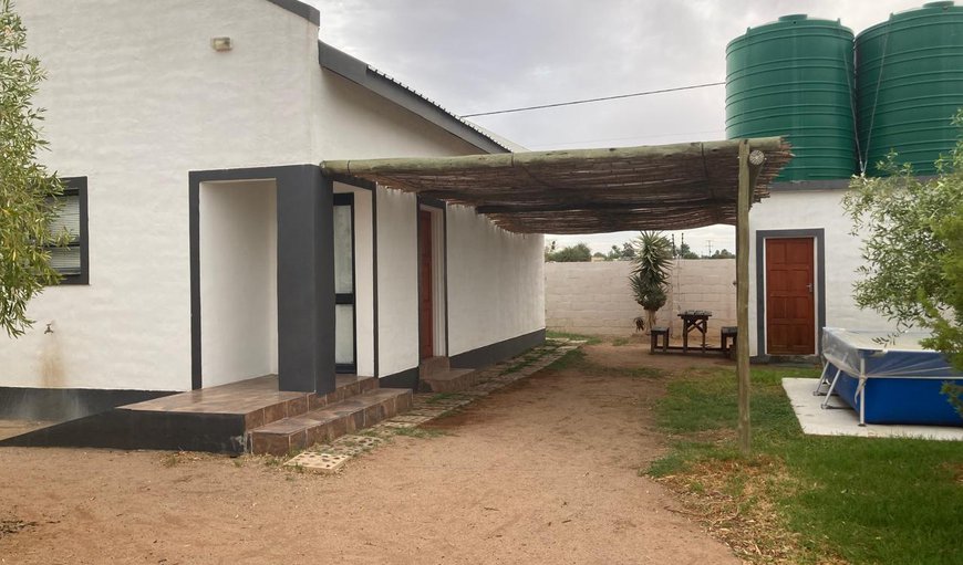 Olienhout in Augrabies, Northern Cape, South Africa