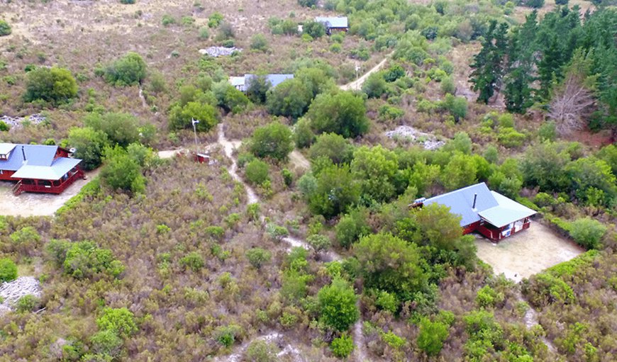 Welcome to Reflections Eco-reserve in Wilderness, Western Cape, South Africa