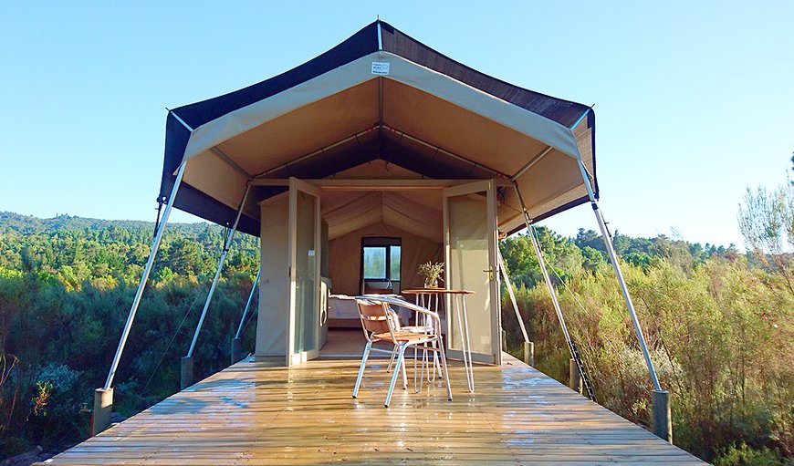 Luxury En-suite Safari Tents: Luxury En-suite Safari Tents