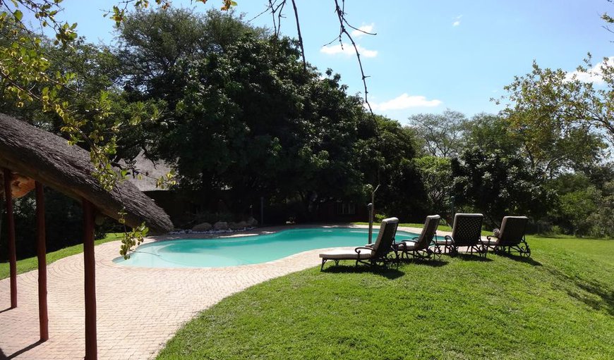Welcome to Mohlabetsi Safari Lodge! in Balule Nature Reserve, Limpopo, South Africa