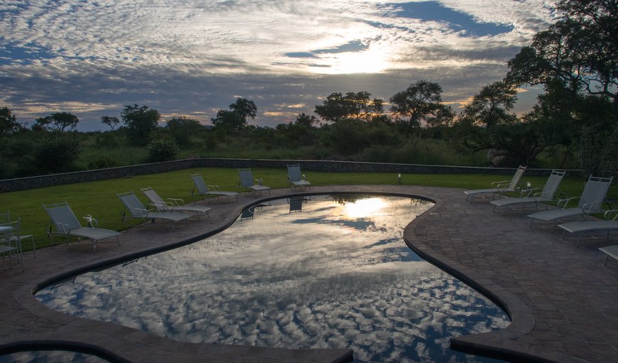 Communal Swimming Pool in Mjejane Private Nature Reserve, Mpumalanga, South Africa