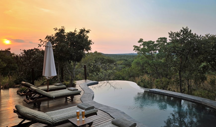 Main Infinity Swimming Pool at Lodge. in Modimolle (Nylstroom), Limpopo, South Africa