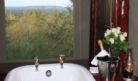 Safari Suite: Safari Suite Bathroom