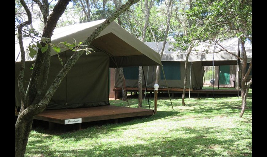 Tented Rooms: Tented Rooms