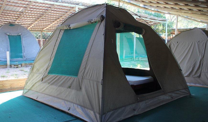 Safari Tent: Safari Tents.