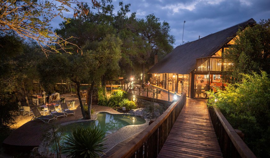Panzi Lodge in Hoedspruit, Limpopo, South Africa
