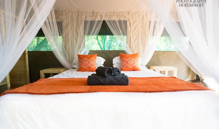 Southern Sands Eco Lodge - Tent 2: Safari Tent 2 with a king size bed.