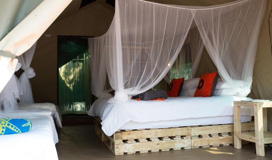 Southern Sands Eco Lodge - Tent 1: Safari Tent 1 with a king size bed & 2 single beds.