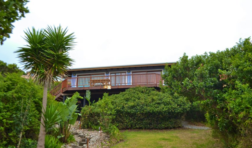 Welcome to Agapanthus Holiday Home (Knysna: Brenton-on-Sea)! in Brenton on Sea, Knysna, Western Cape, South Africa