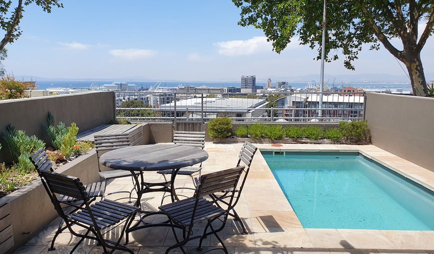 7 Bayview Terrace - Pool garden in De Waterkant, Cape Town, Western Cape, South Africa