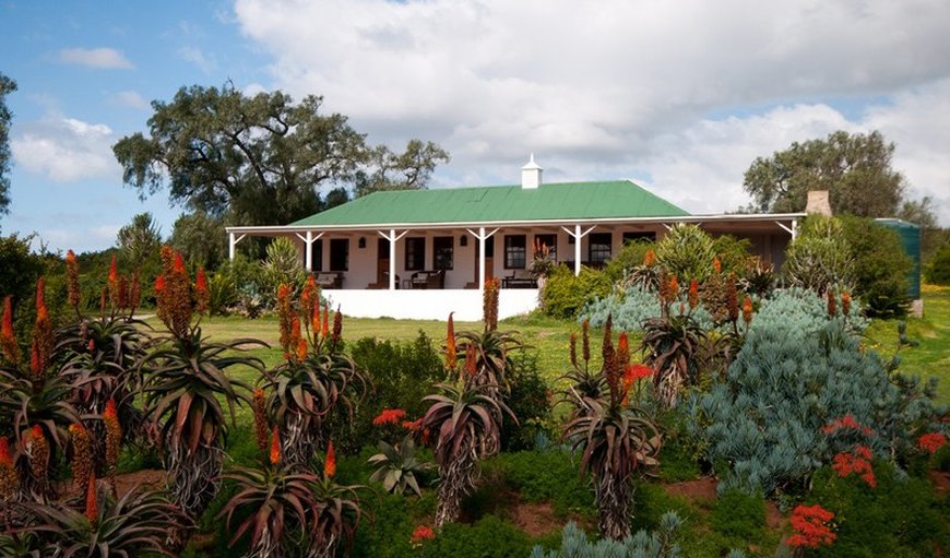 Leeuwenbosch Country House in Amakhala Game Reserve, Eastern Cape, South Africa