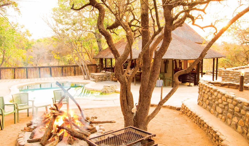 Buffaloland Safaris - Nyati Pools Tented camp in Hoedspruit, Limpopo, South Africa