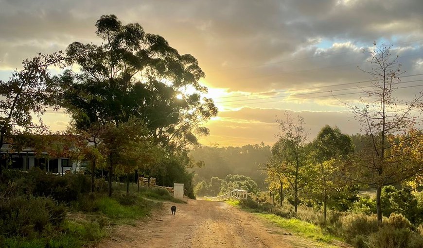 Nibbana Farm in Tulbagh, Western Cape, South Africa