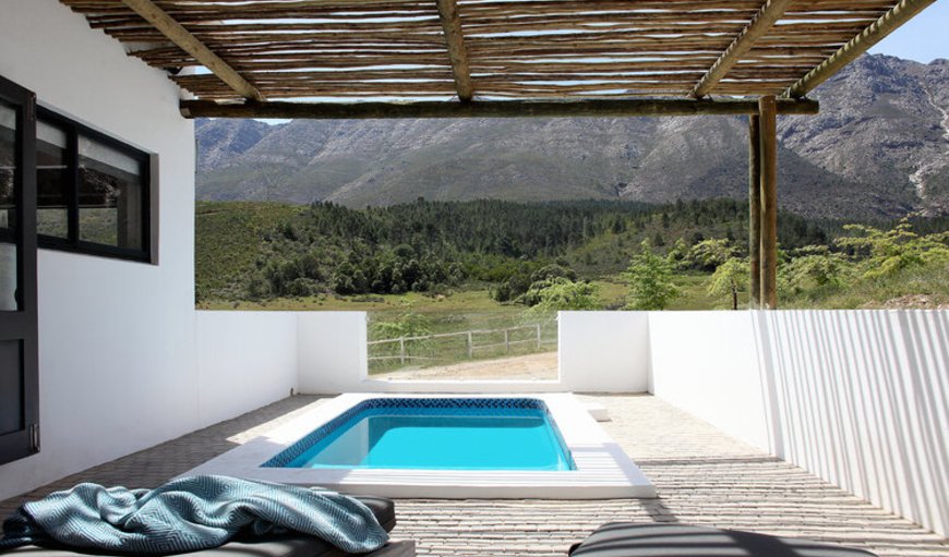 Stable Studio: Stable Studio - Plunge pool