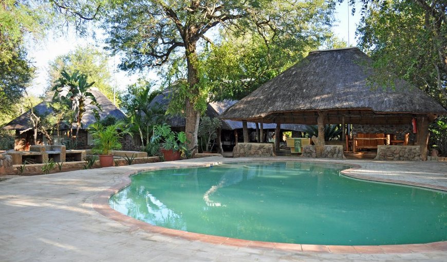 Lazy afternoons can be spent either around the swimming pool with wooden deck, the pool lounge, the reception lounge or the bush jacuzzi. Lazy afternoons can be spent either around the swimming pool with wooden deck, the pool lounge, the reception lounge or the bush jacuzzi.